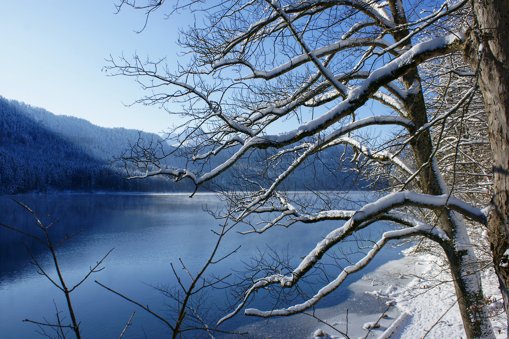 Eiskalt am Alpsee