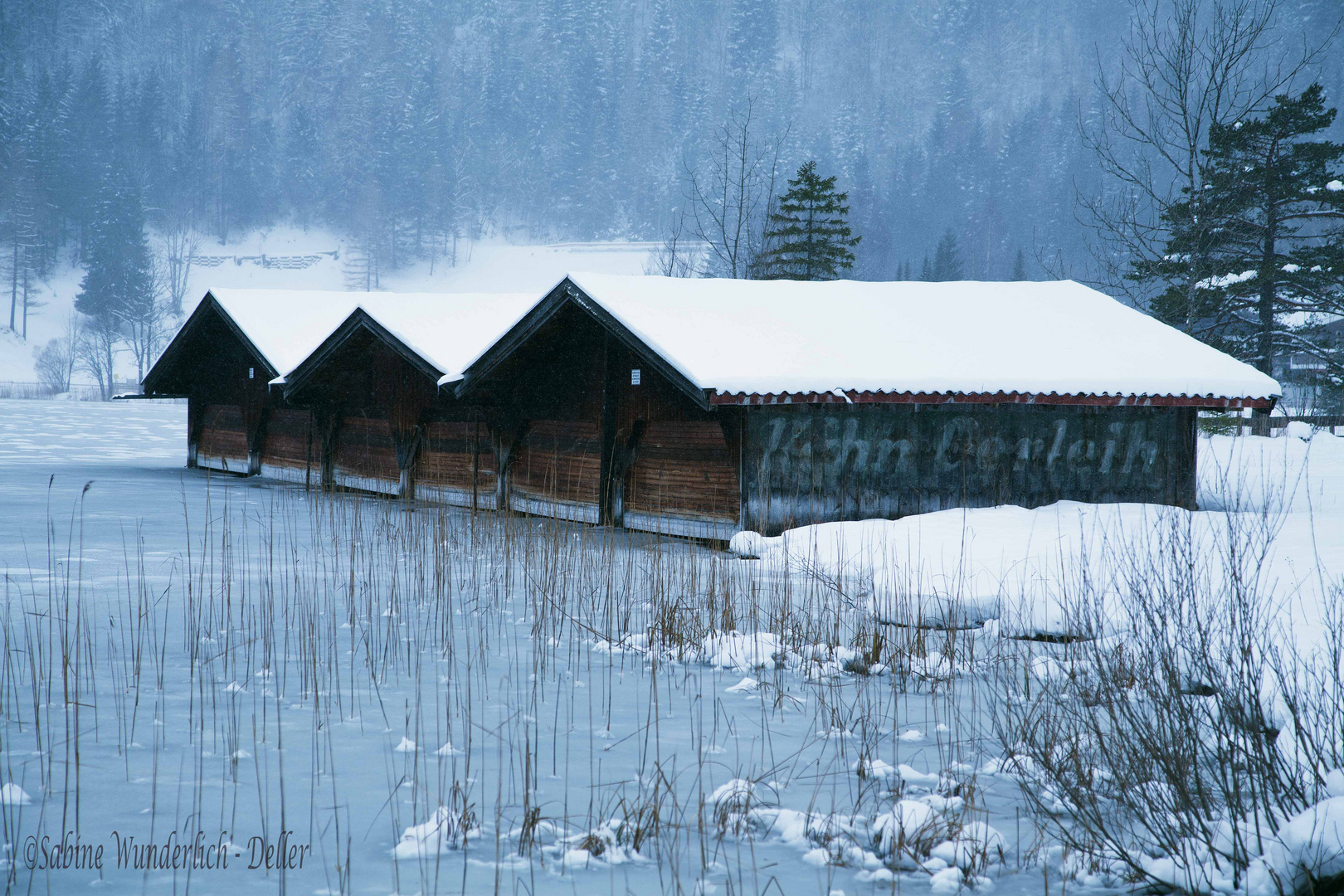 EISKALT am Lautersee