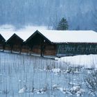 EISKALT am Lautersee