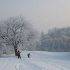 Eiskalt am Morgen