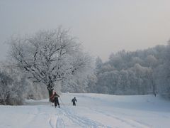 Eiskalt am Morgen