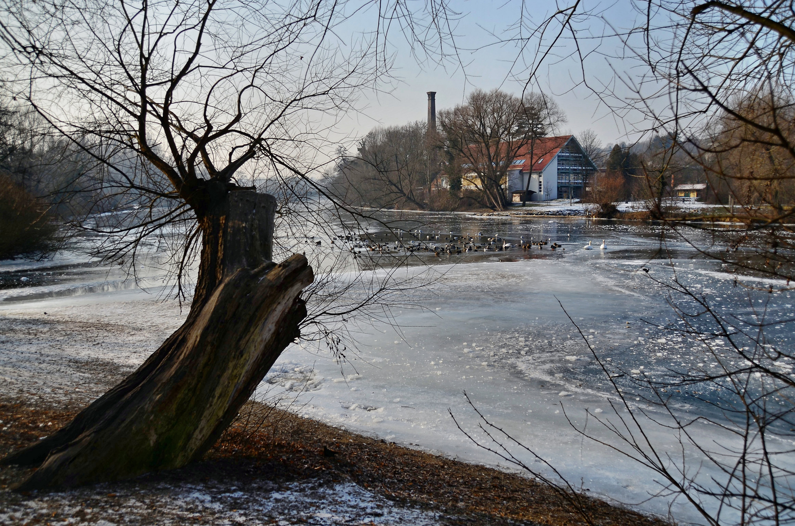 eiskalt am Neckar  1