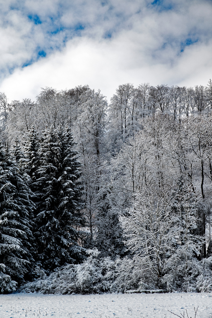 Eiskalt