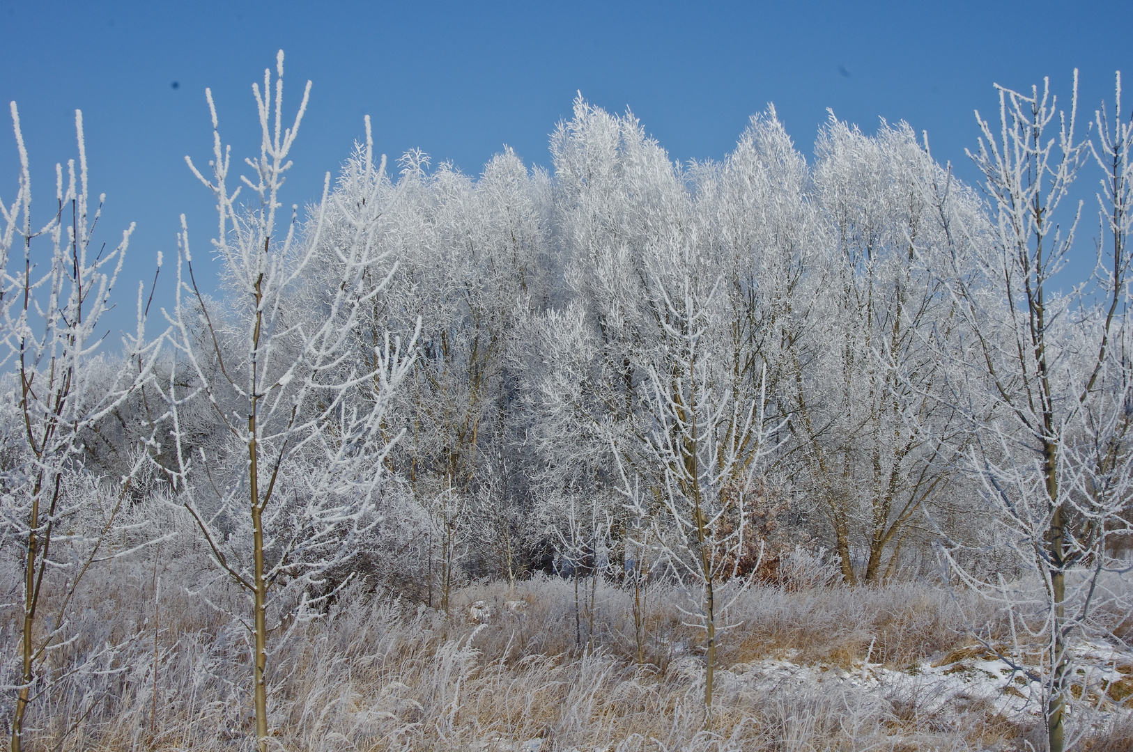 Eiskalt bei -20°C