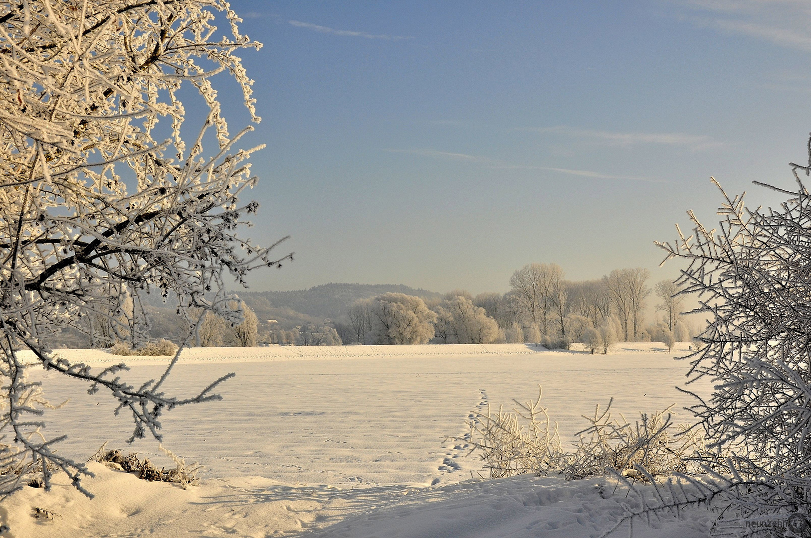 Eiskalt