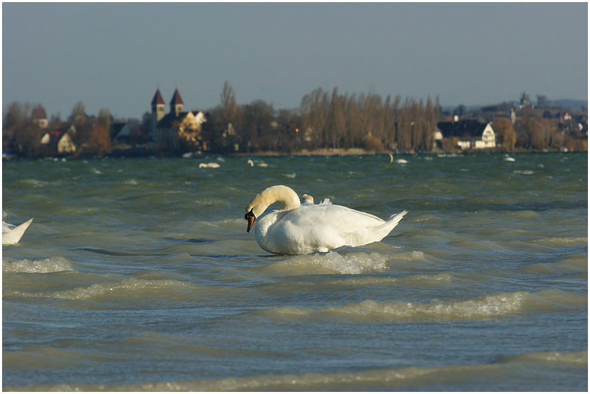 eiskalt...