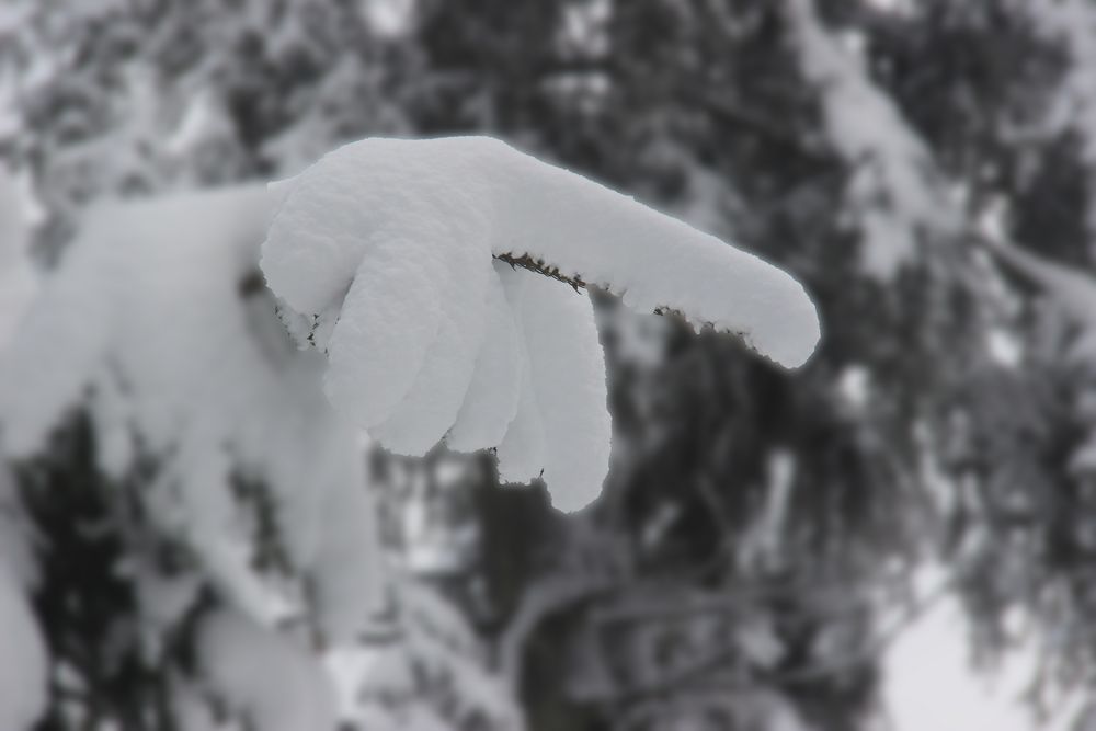 Eiskalt den Mittelfinger gezeigt