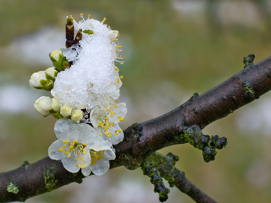 Eiskalt erwischt