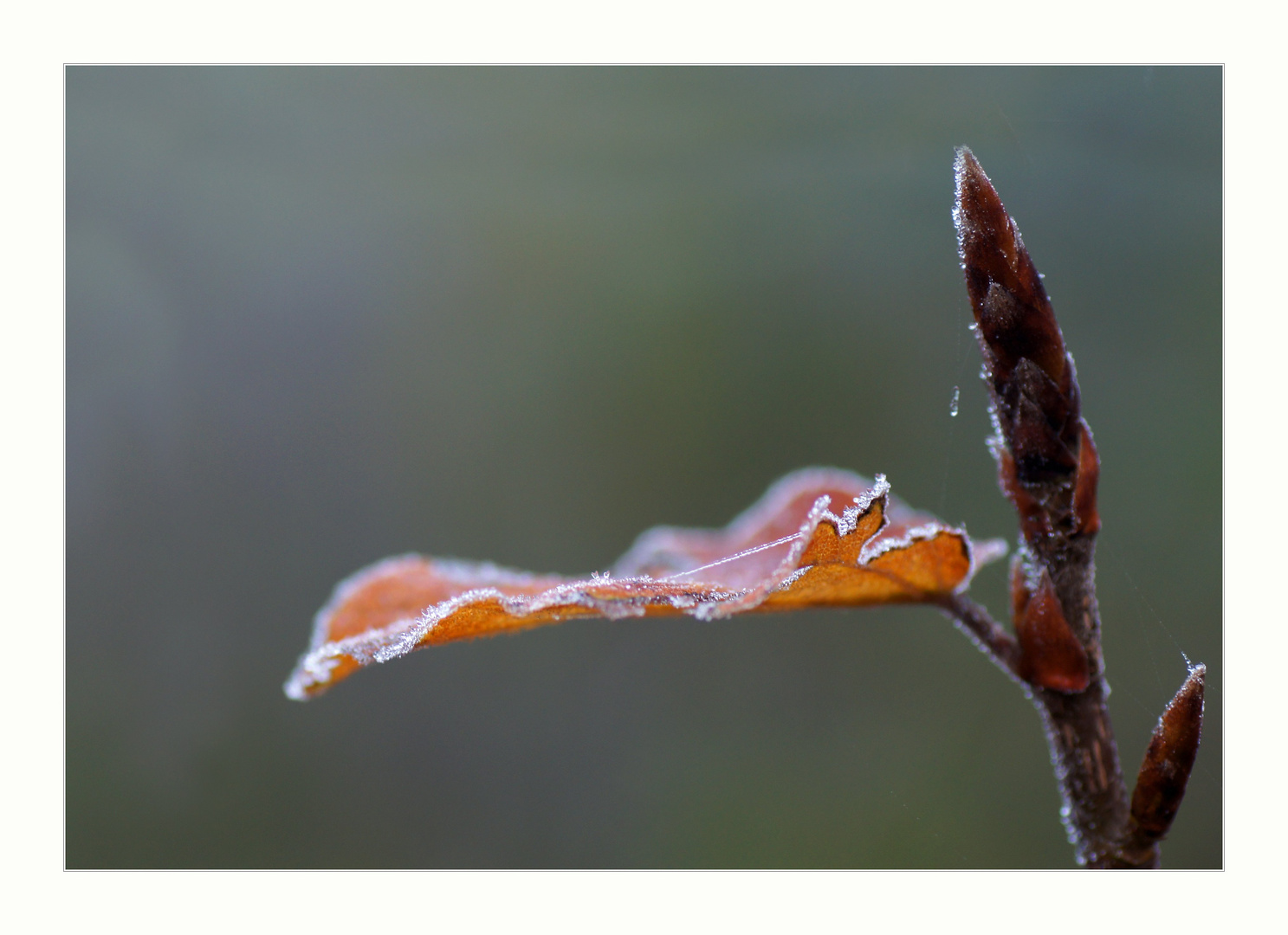 eiskalt erwischt