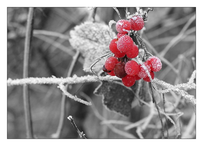 Eiskalt erwischt... von Hartwig U. Marion Falk