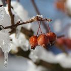 Eiskalt erwischt