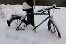 Eiskalt erwischt von Günter Roland