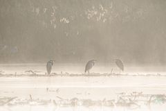  . . . eiskalt erwischt.