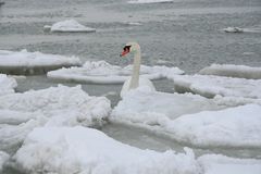 Eiskalt erwischt !