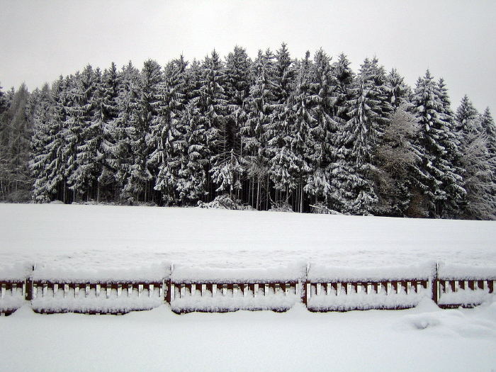 Eiskalt erwischt