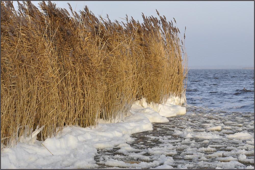 Eiskalt ( Esonstad-Oostmahorn)