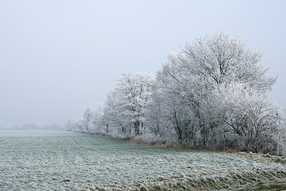 Eiskalt