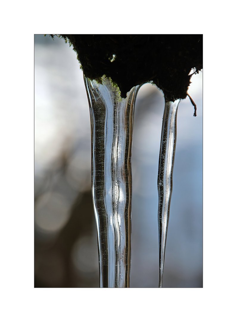 Eiskalt.....