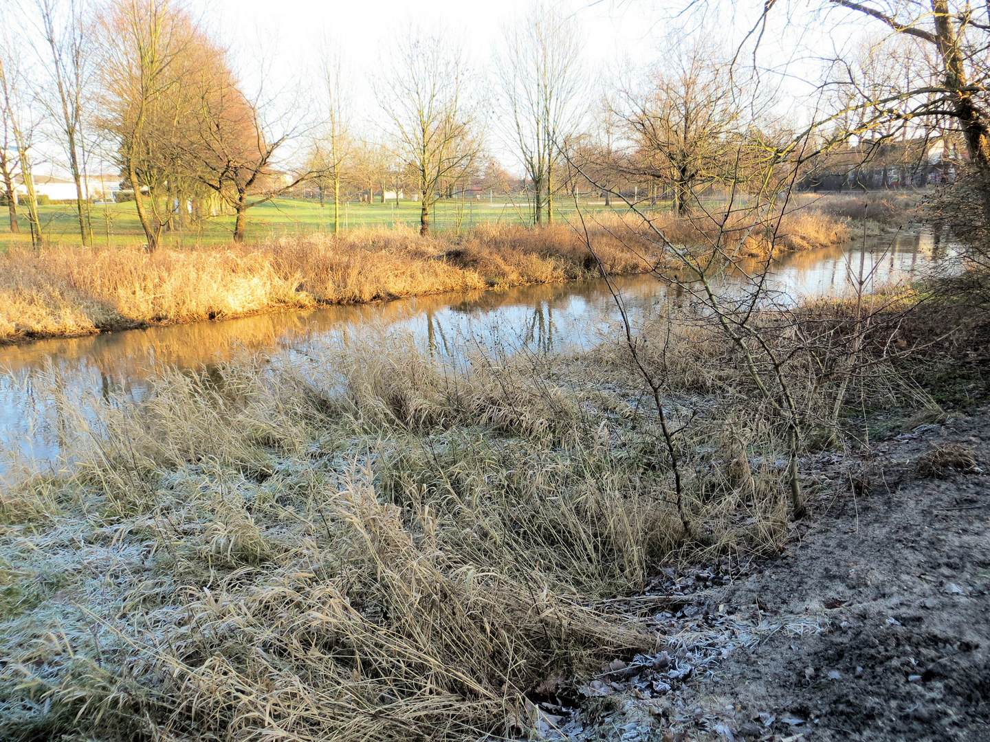 Eiskalt im Sonnenschein