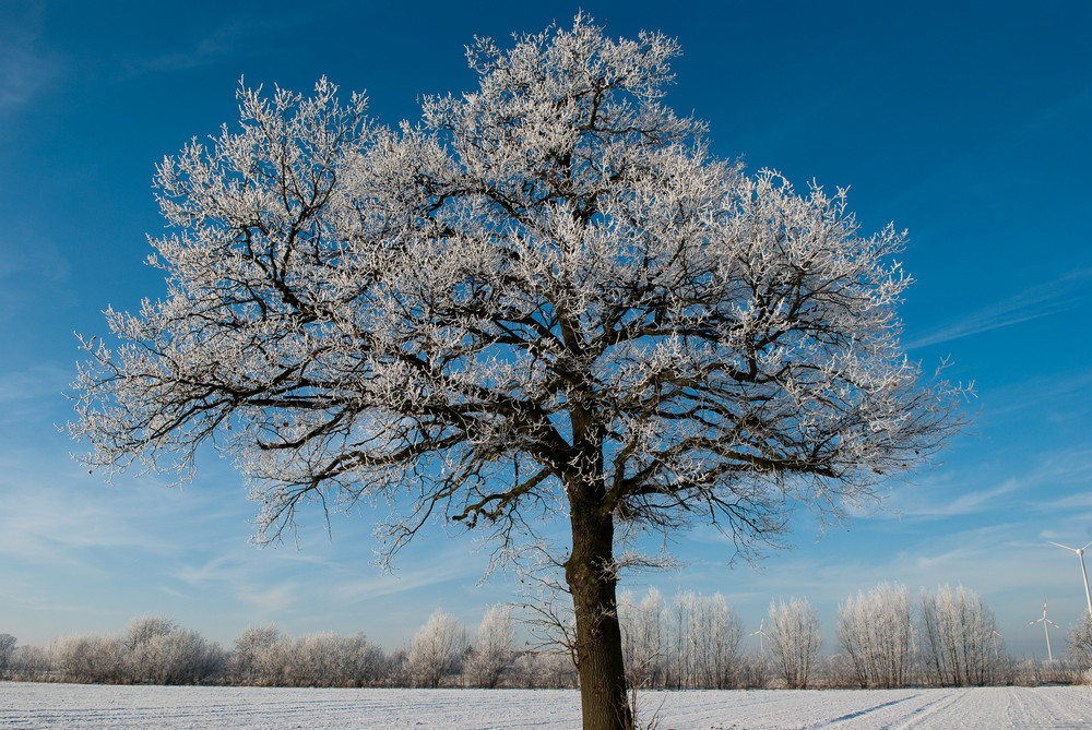 Eiskalt im Sonnenschein