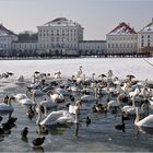 Eiskalt in München...