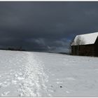 eiskalt mit Wind...