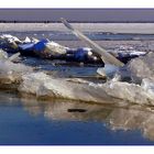 Eiskalt - Steinhuder Meer