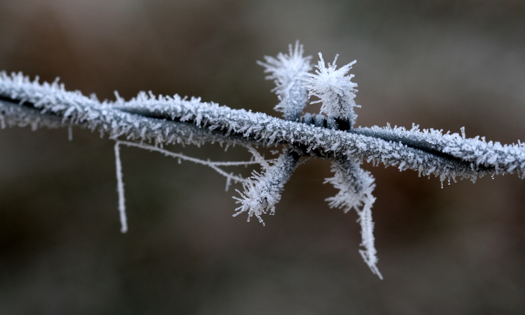 eiskalt und abweisend