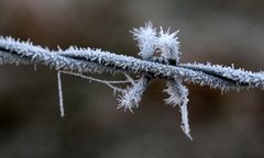 eiskalt und abweisend