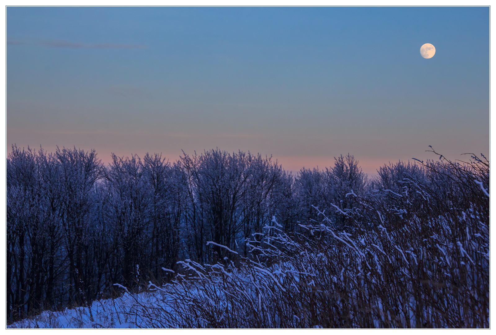 Eiskalt war ´s, der Mond schien helle... - Blaue Stunde auf dem Köterberg...