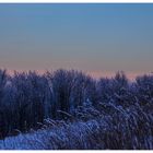 Eiskalt war ´s, der Mond schien helle... - Blaue Stunde auf dem Köterberg...