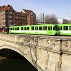 Eiskalte Begegnung an der Leine