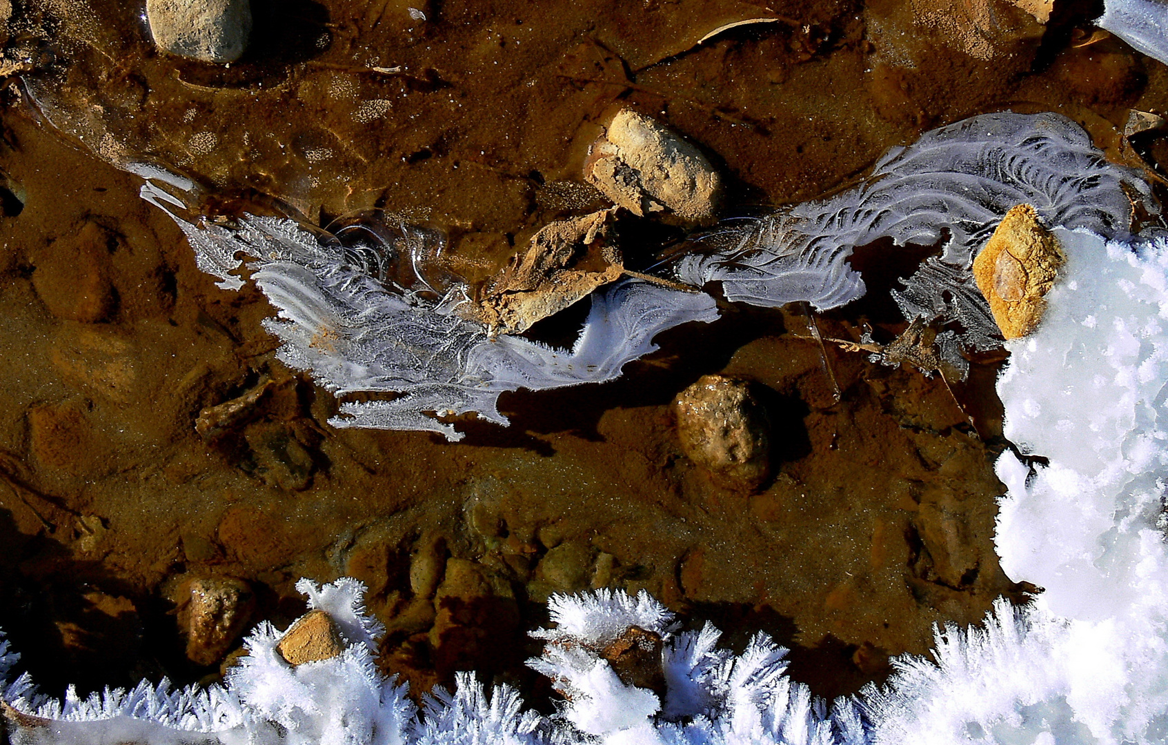 Eiskalte Begegnung der 3. Art / zwei  Eis-Drachen begegnen sich in einer Pfütze