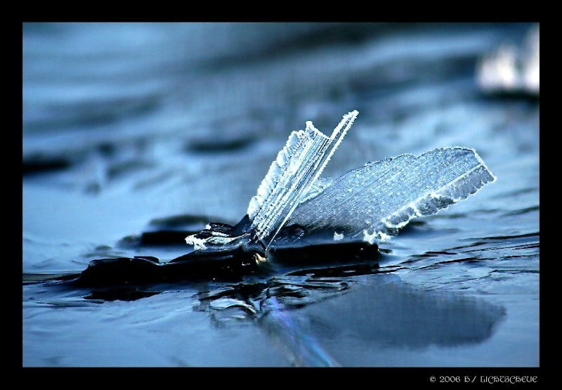 eiskalte Filigranität III