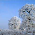 eiskalte Gestalten