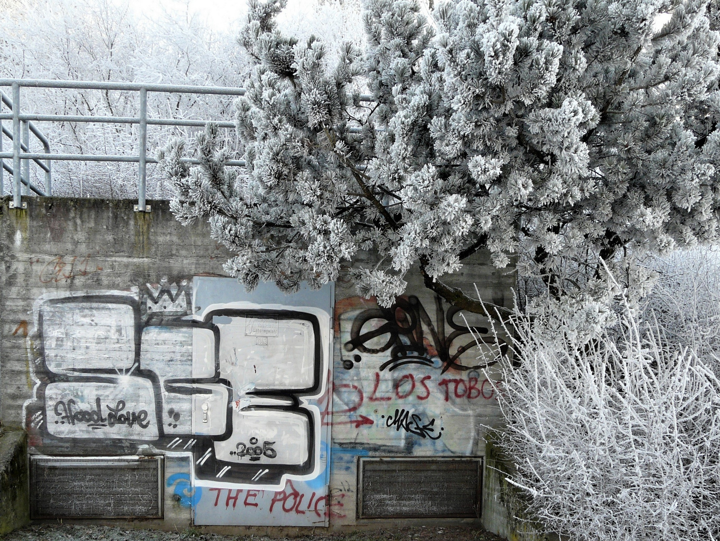 Eiskalte Graffitis