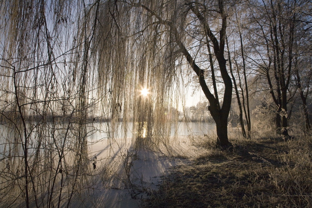 Eiskalte Impressionen III