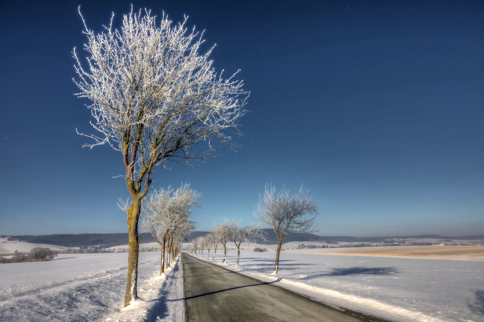 Eiskalte Kirschenallee