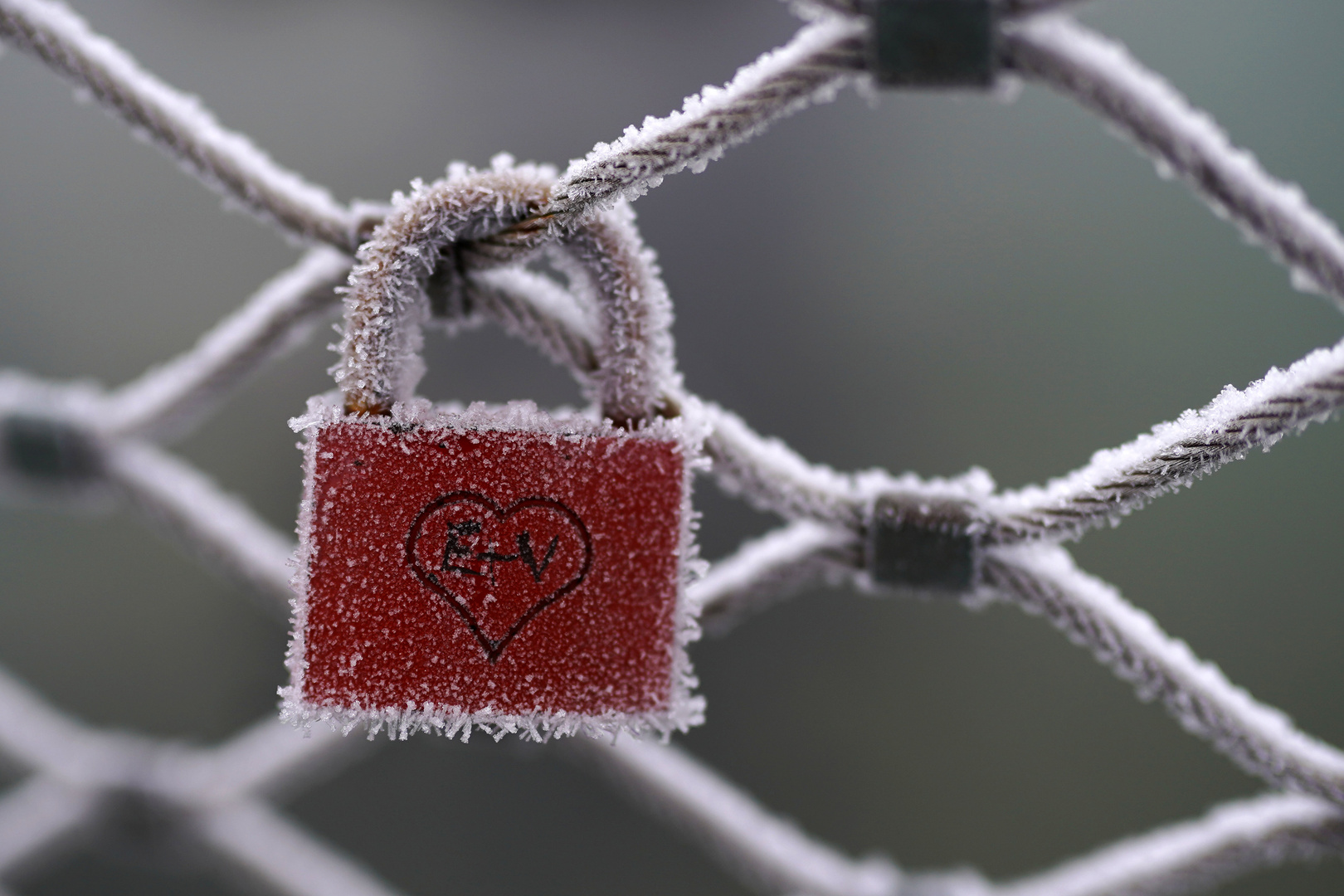 Eiskalte Liebe