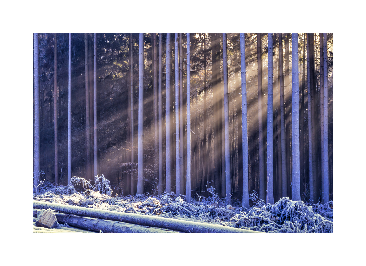 Eiskalte Morgenstimmung