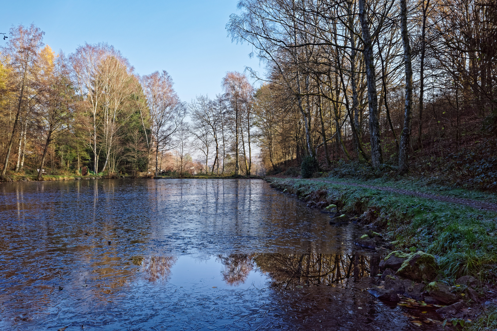 Eiskalte Morgenstimmung am Lasbachteich