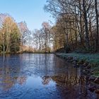 Eiskalte Morgenstimmung am Lasbachteich