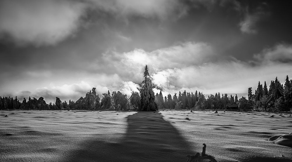 Eiskalte Schatten