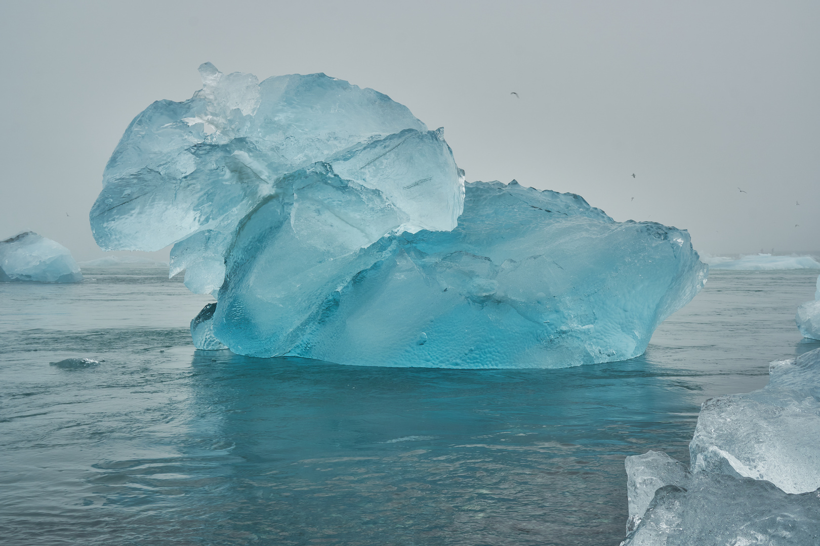 eiskalte Schönheit