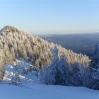 eiskalte Schönheit