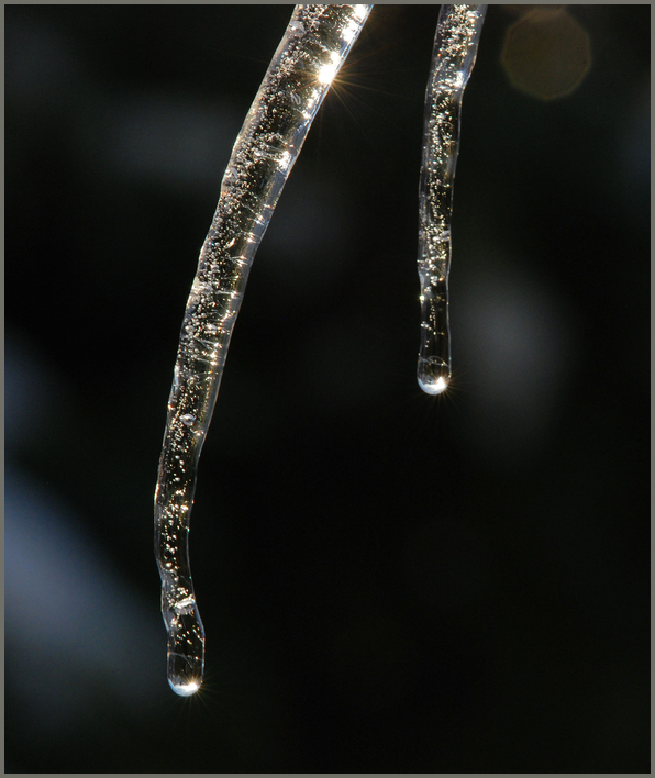 Eiskalte Schönheit