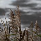 eiskalte Windböen über dem See