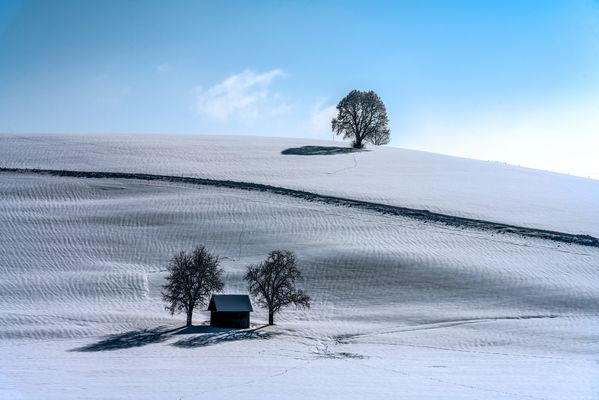 EISKALTE WINTERHÜGEL