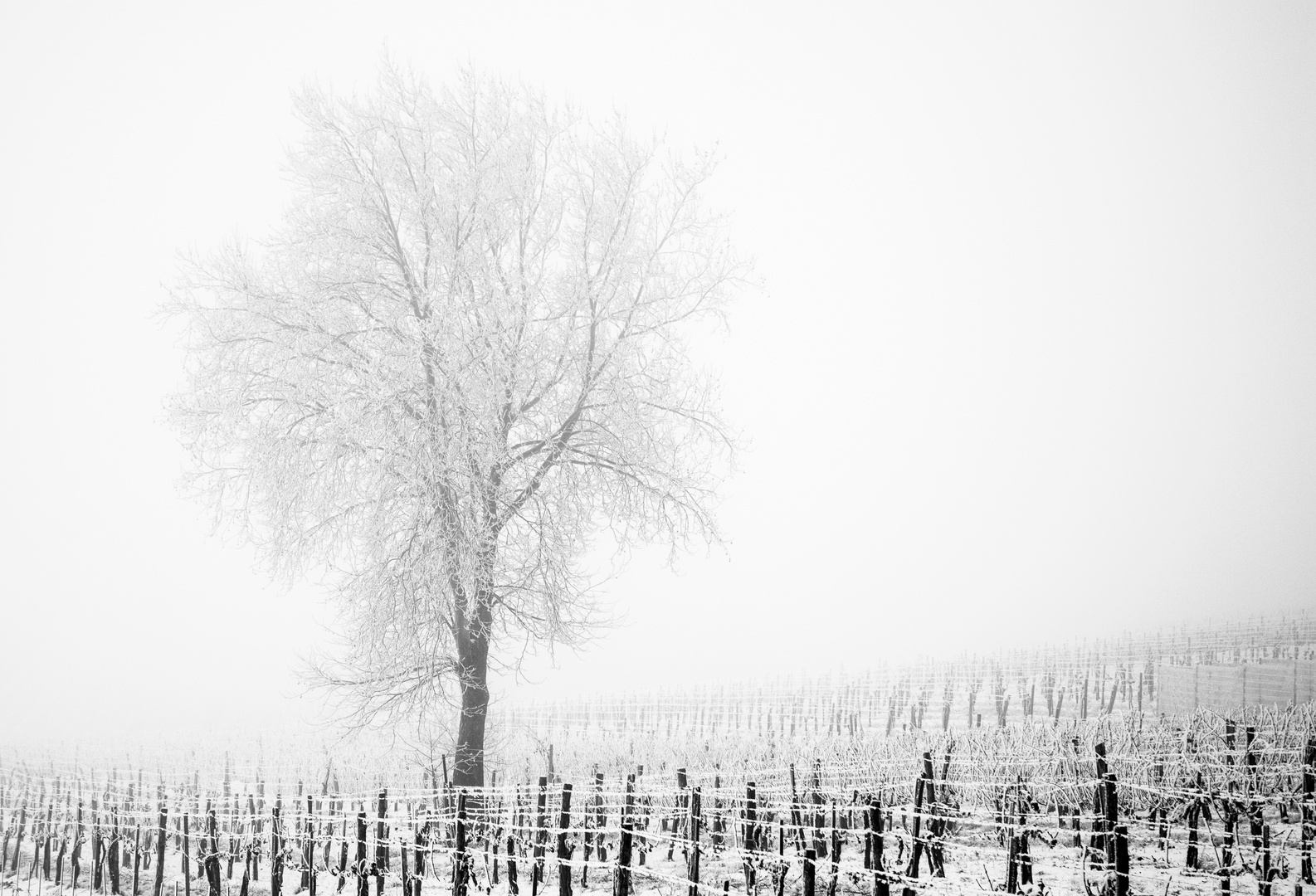 Eiskalte Winterlandschaft