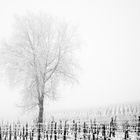 Eiskalte Winterlandschaft